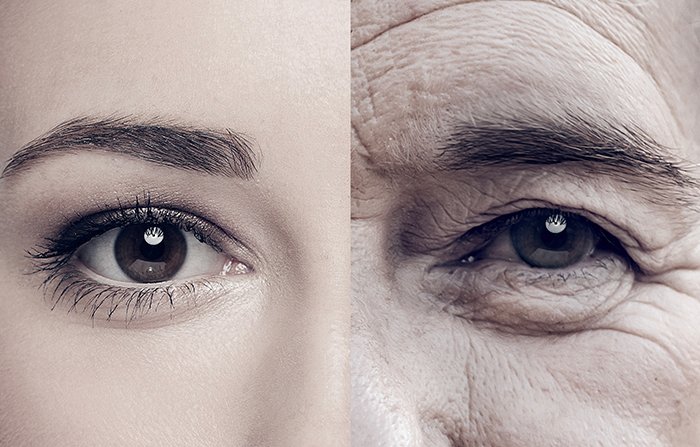 What Are the “Hallmarks of Aging”? Understanding the Biological Framework of Aging