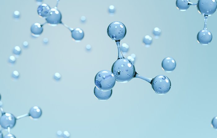 How Is Collagen Utilized in the Human Body?