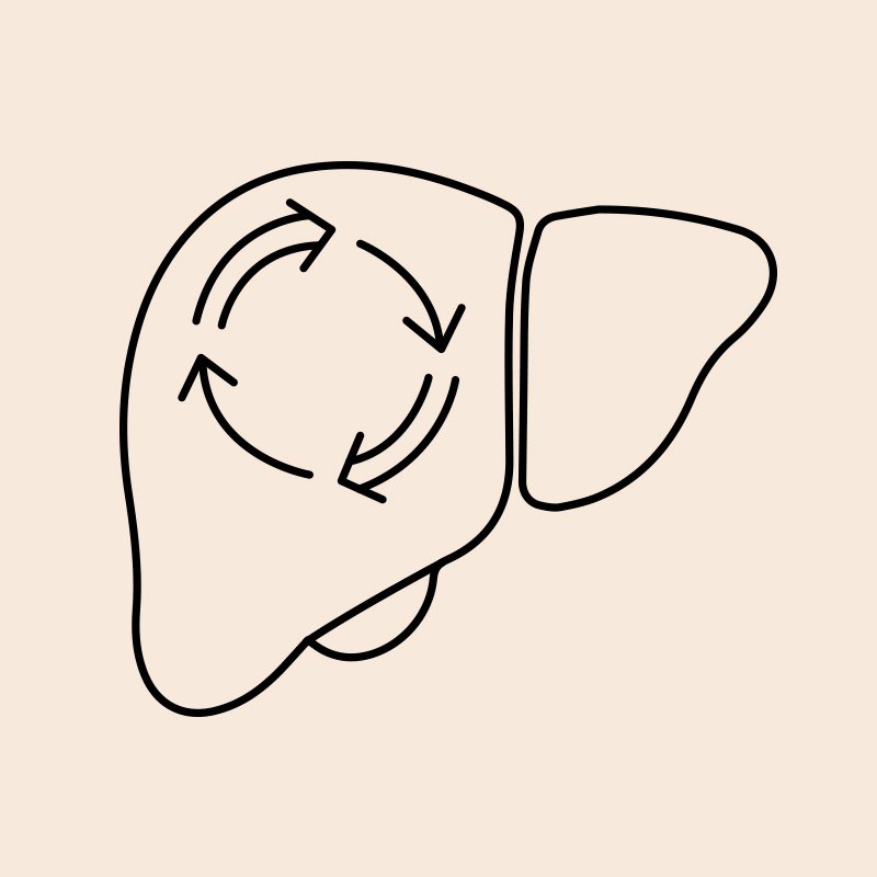 Liver & Metabolic Health